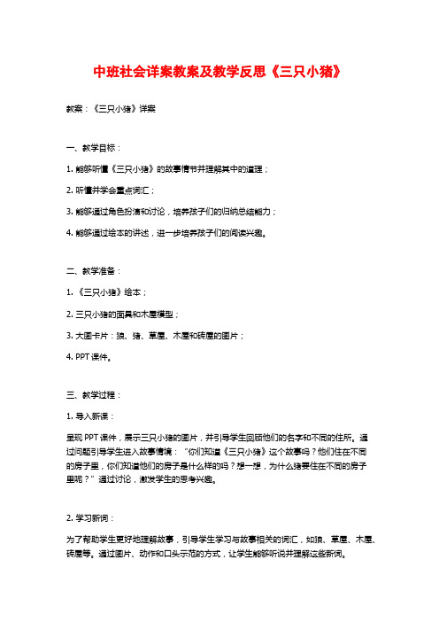 中班社会详案教案及教学反思《三只小猪》