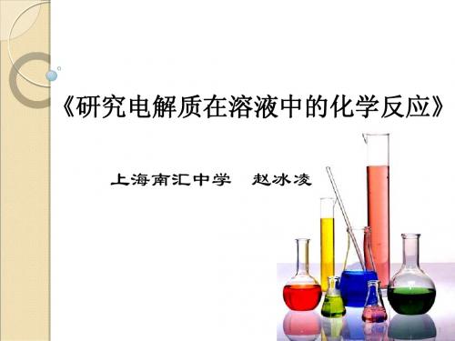 2014年全国高中化学优质课说课大赛 课题：研究电解质在溶液中的化学反应(上海市赵冰凌)