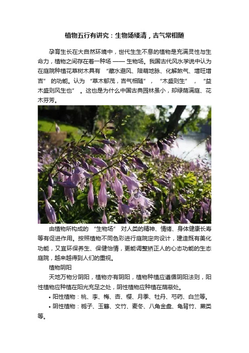 植物五行有讲究：生物场缕清，吉气常相随