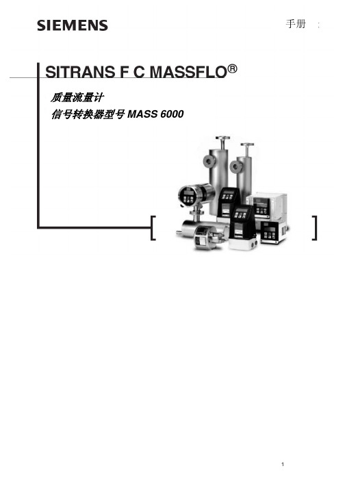 德国西门子流量计中文说明书