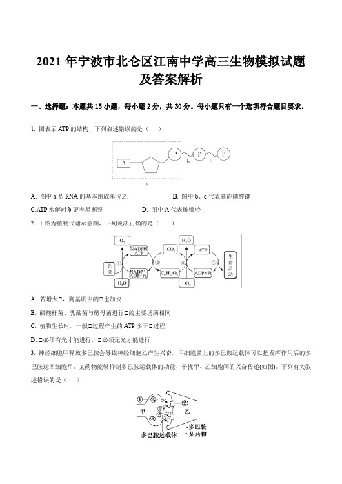 2021年宁波市北仑区江南中学高三生物模拟试题及答案解析