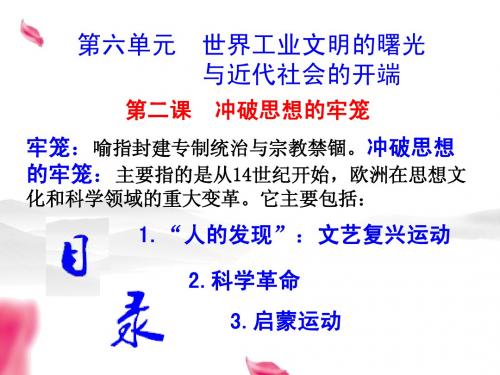 第6单元2.1    冲破思想的牢笼