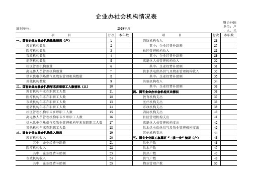 2019年国有企业财务会计决算报表(补充指标表)