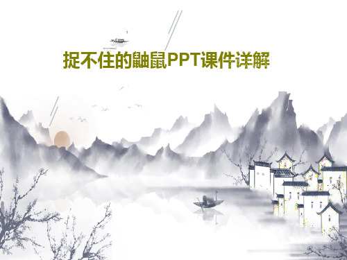 捉不住的鼬鼠PPT课件详解共19页