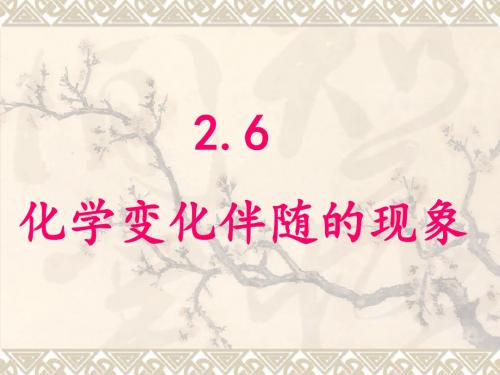 2.6.化学变化伴随的现象