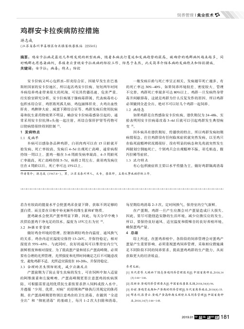 鸡群安卡拉疾病防控措施