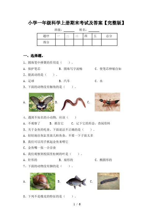 小学一年级科学上册期末考试及答案【完整版】