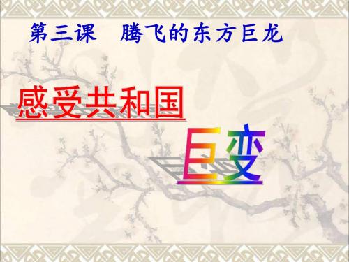 山东省潍坊市九年级政治全册第二单元五星红旗我为你骄傲第3课腾飞的东方巨龙第1框感受共和国巨变课件鲁教版