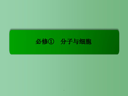 高考生物总复习 3.11能量之源-光与光合作用 新人教版必修1