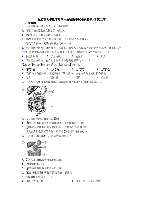 合肥市七年级下册期中生物期中试卷及答案-百度文库