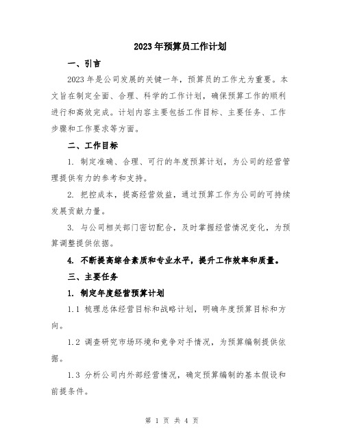 2023年预算员工作计划