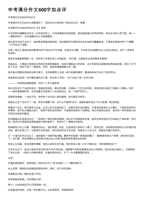 中考满分作文600字加点评