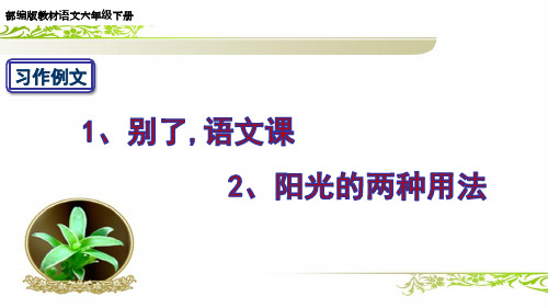 部编版六下语文习作例文《别了-语文课--阳光的两种用法》课件