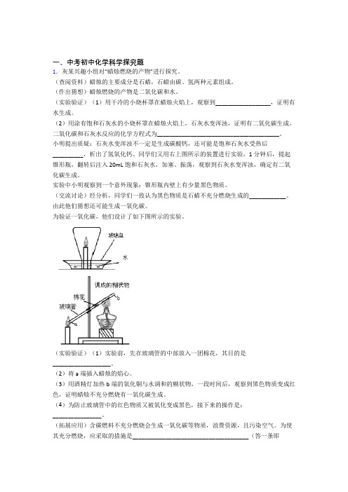 中考化学探究题提高练习题压轴题训练及答案解析