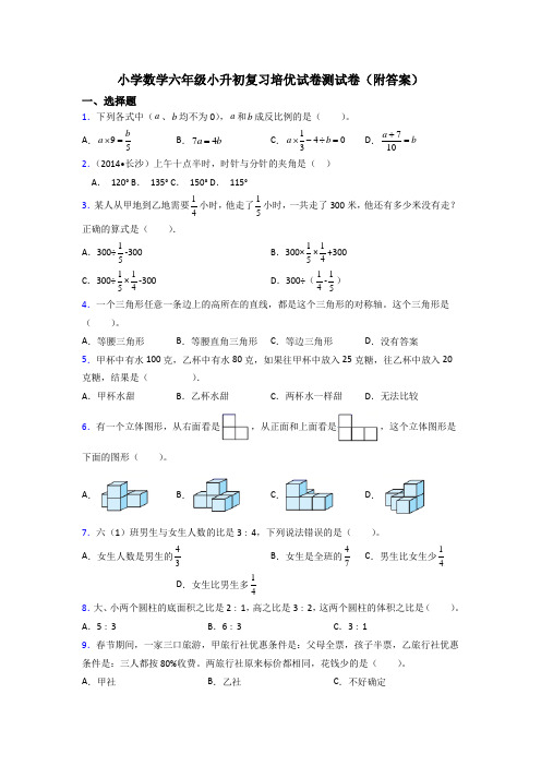 小学数学六年级小升初复习培优试卷测试卷(附答案)