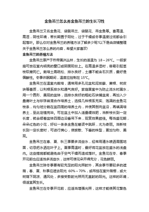 金鱼吊兰怎么养金鱼吊兰的生长习性