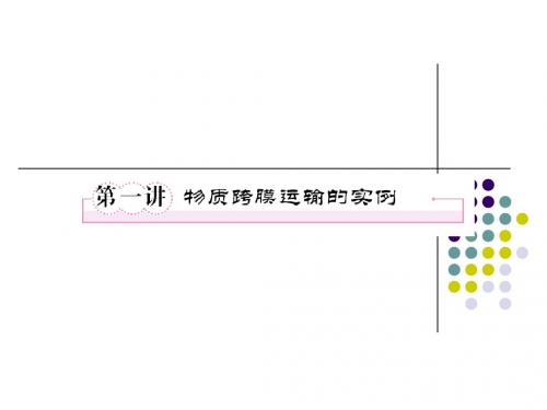 必修一4-1物质跨膜运输的实例