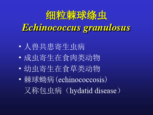 人体寄生虫学细粒棘球绦虫课件