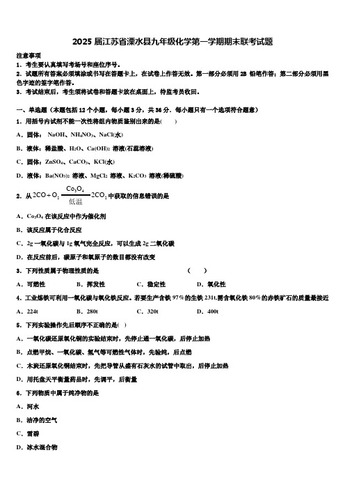 2025届江苏省溧水县九年级化学第一学期期末联考试题含解析