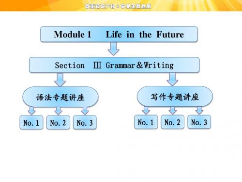 Module 1  Section Ⅲ   Grammar &Writing