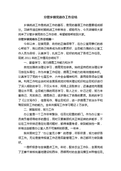 分管乡镇党政办工作总结