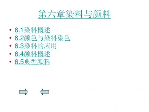 第六章染料与颜料