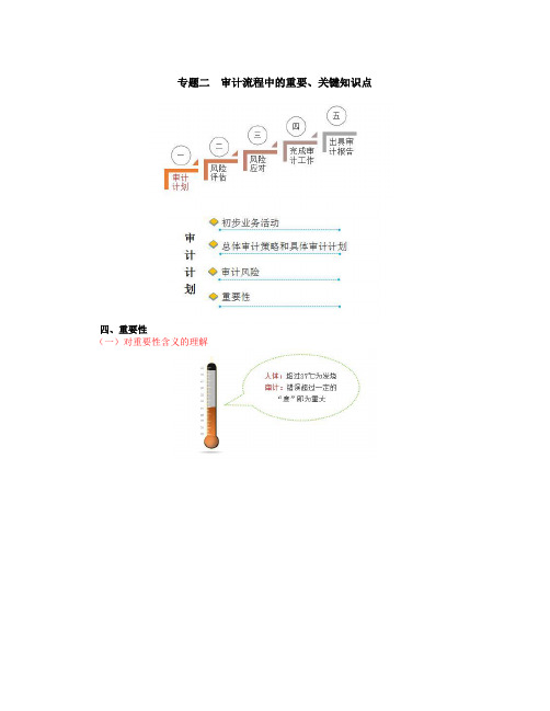 审计流程中的重要知识点