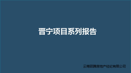 晋宁项目报告8.14