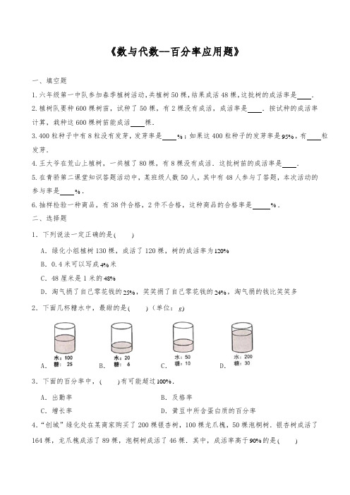 苏教版六年级数学下册试题一课一练《数与代数--百分率应用题》【含答案】