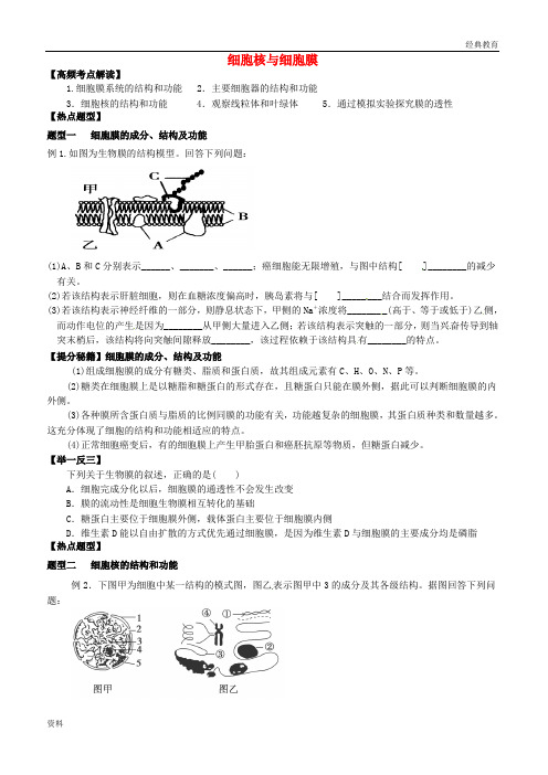 2019届高三生物一轮复习 专题 光与光合作用导学案(无答案) (6)