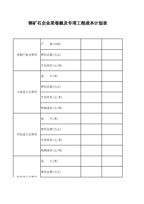 铜业公司采掘及专项工程成本计划表