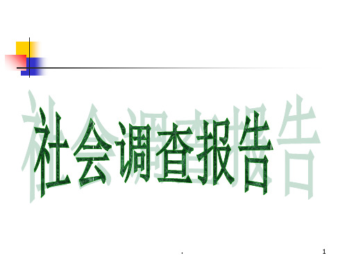 《社会调查报告》PPT课件