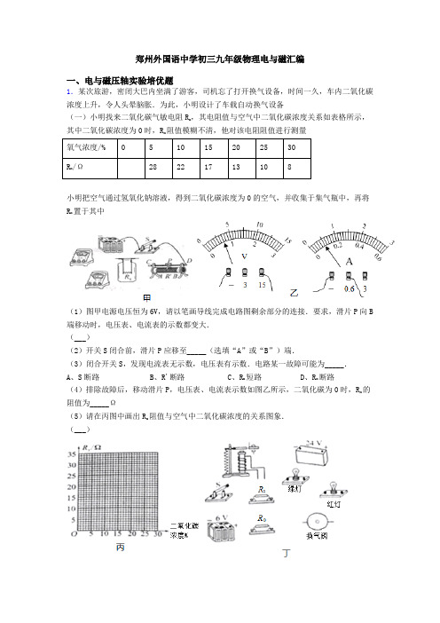 郑州外国语中学初三九年级物理电与磁汇编