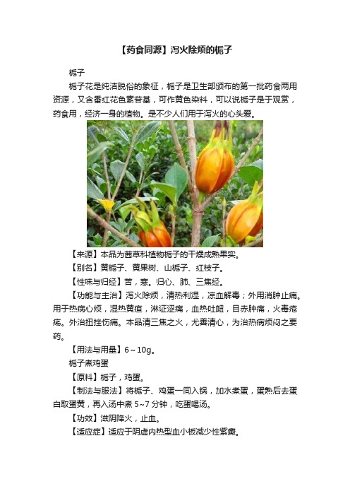 【药食同源】泻火除烦的栀子