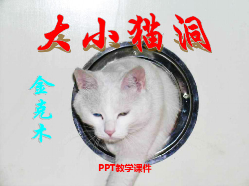 语文九上第课《大小猫洞》精品课件