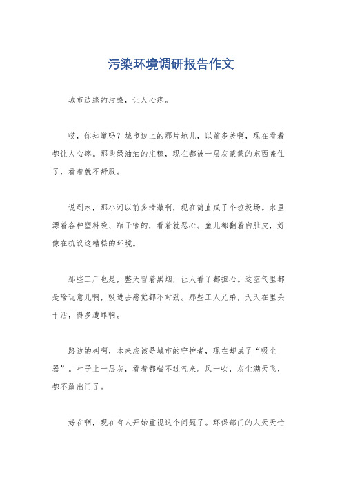 污染环境调研报告作文