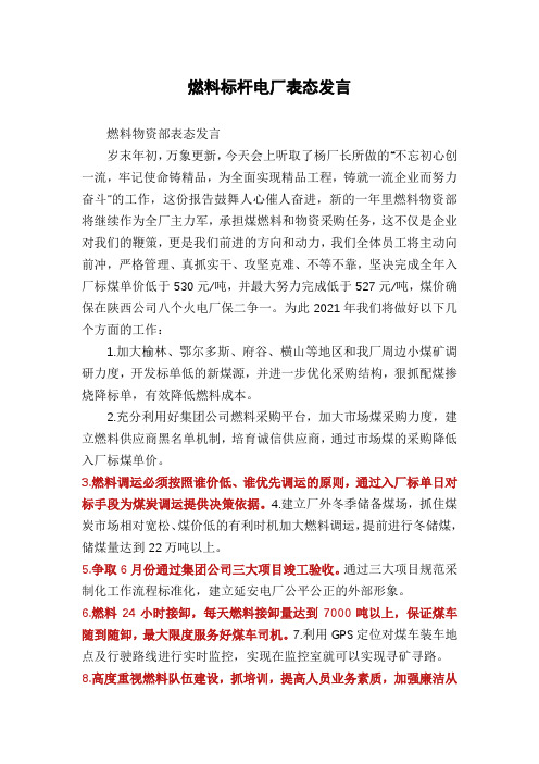 燃料标杆电厂表态发言