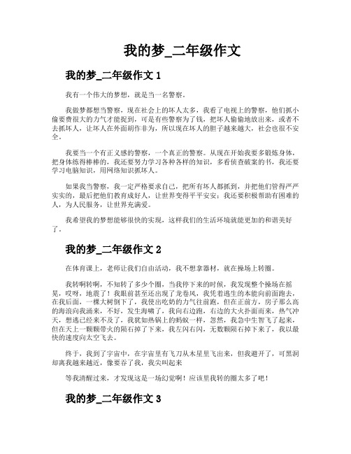 我的梦二年级作文