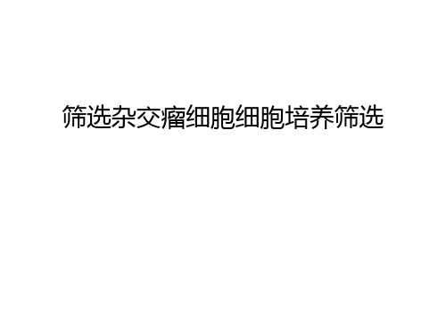 筛选杂交瘤细胞细胞培养筛选培训课件