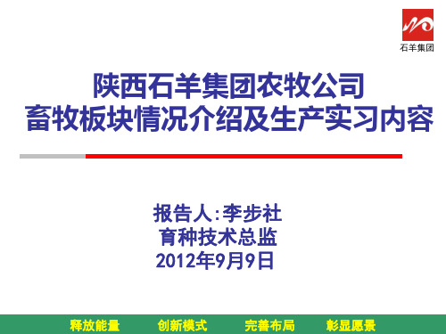 陕西石羊集团农牧公司畜牧板块情况介绍及生产实习内容