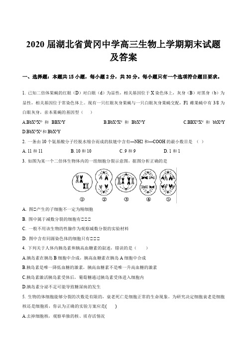 2020届湖北省黄冈中学高三生物上学期期末试题及答案