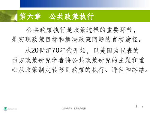 《公共政策执行理论》PPT课件