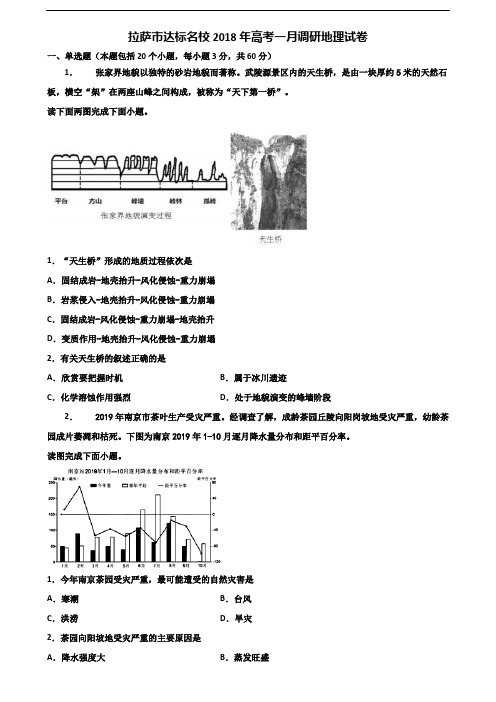 拉萨市达标名校2018年高考一月调研地理试卷含解析