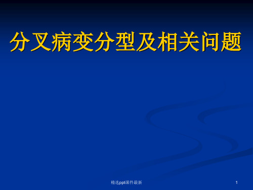 分叉病变分型PPT课件