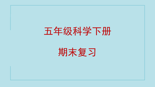 粤教版五年级科学下册知识点