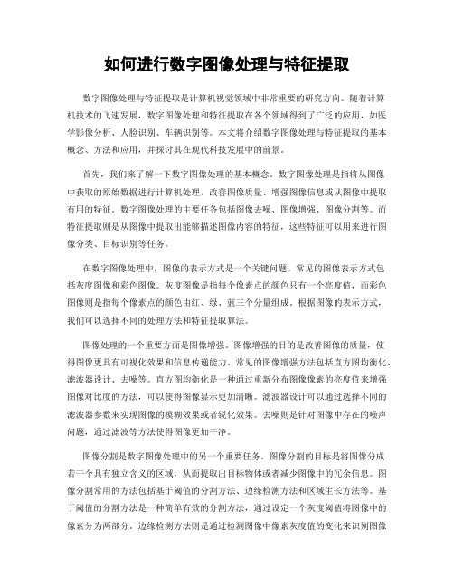 如何进行数字图像处理与特征提取