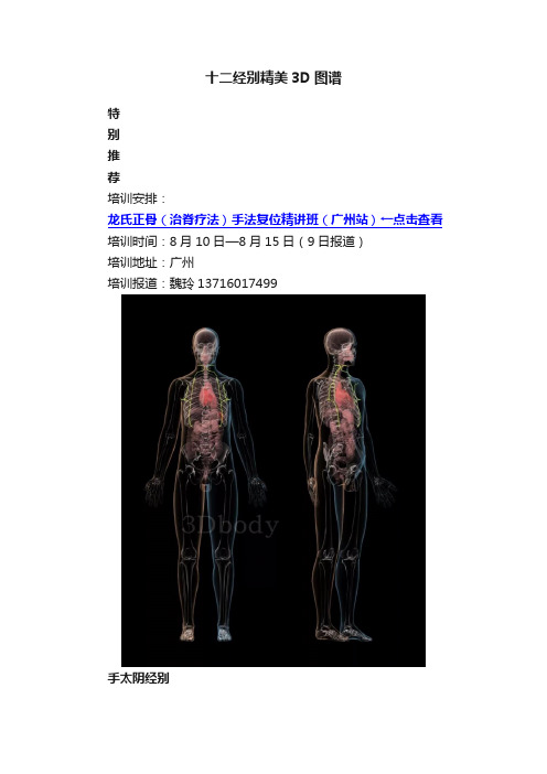 十二经别精美3D图谱