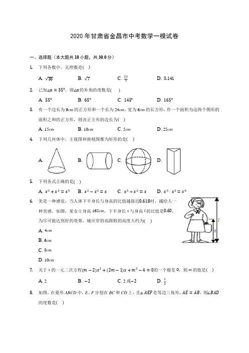 2020年甘肃省金昌市中考数学一模试卷 (含答案解析)
