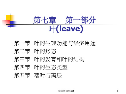 被子植物叶的形态结构和功能