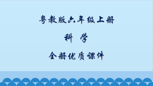 粤教粤科版科学六年级上册全册优质课件